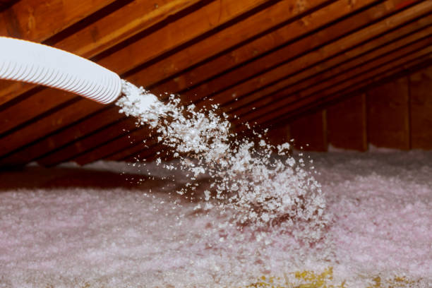 Best Specialized Insulation Services in North Sioux City, SD