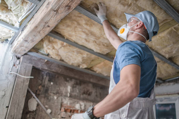 Best Residential Insulation in North Sioux City, SD